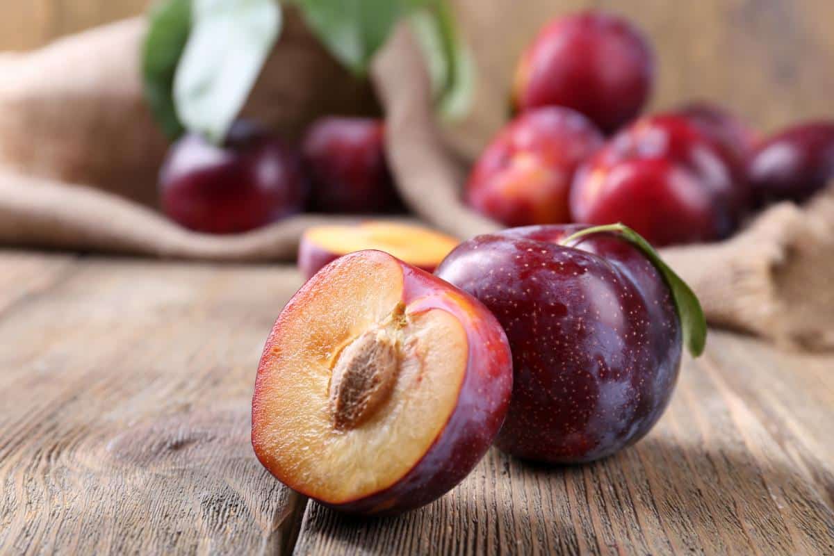 البرقوق في مصر؛ أحمر أصفر طبيعي عضوي المعادن فيتامين ك