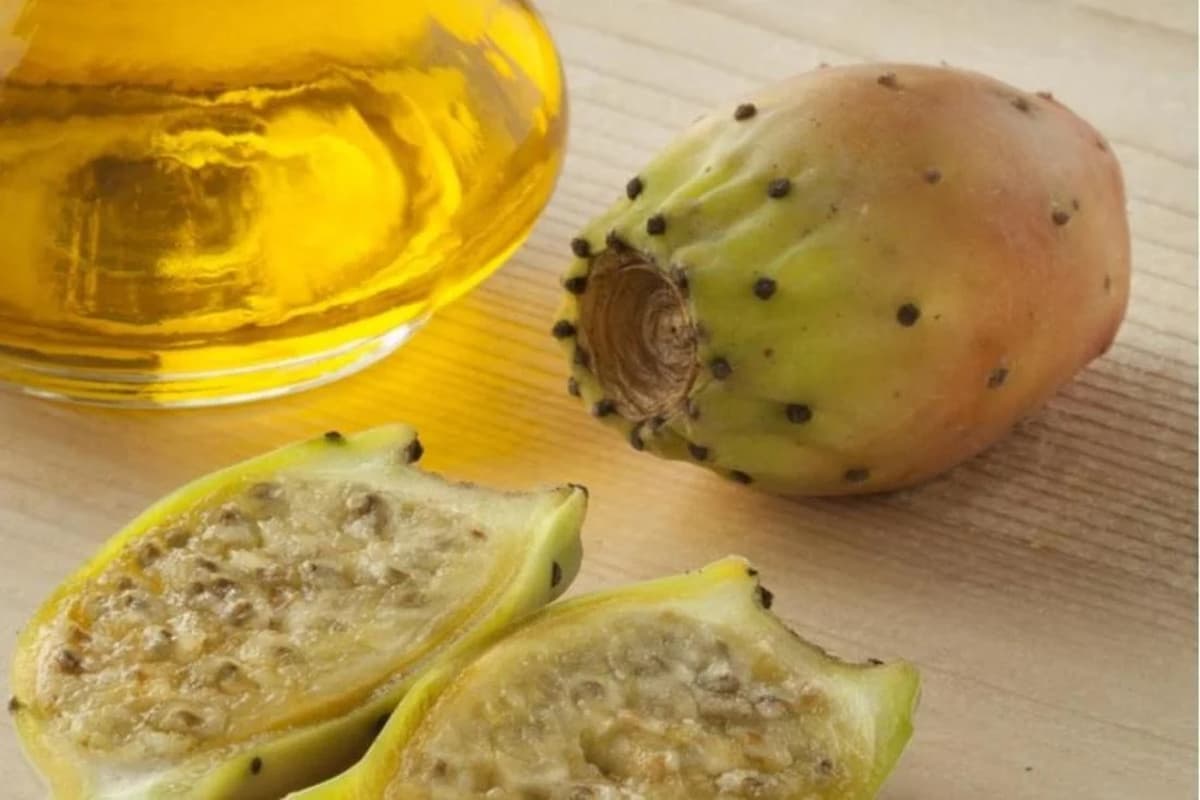 خل التين الشوكي في الجزائر؛ بني غامق يخفض الكوليسترول اوریجینال عادي