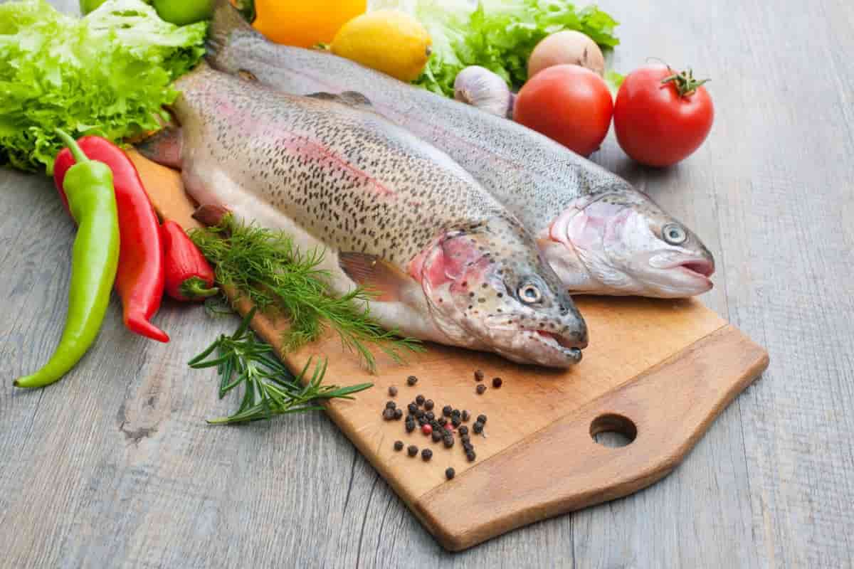 السمك في السعودية؛ المياه المالحة صحة العين أوميغا 3 فيتامين D البروتين selenium