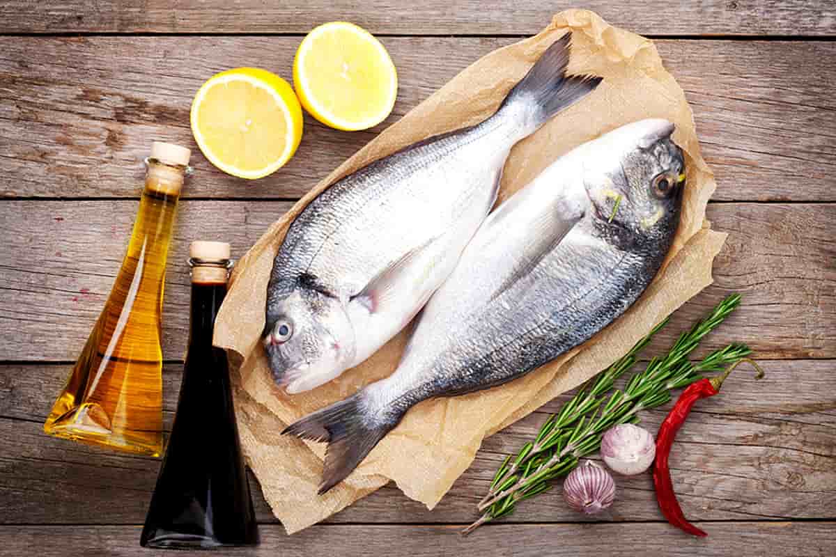 السمك في اوكرانيا؛ أطعمة اللذيذة تعيش الماء تنظيم درجة حرارة الجسم