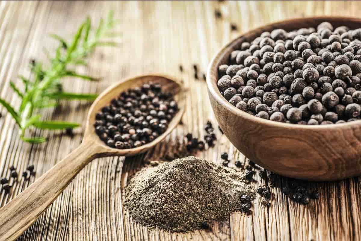 الفلفل الأسود البرازيلي؛ حار حارق الالياف الكالسيوم جنوب الهند