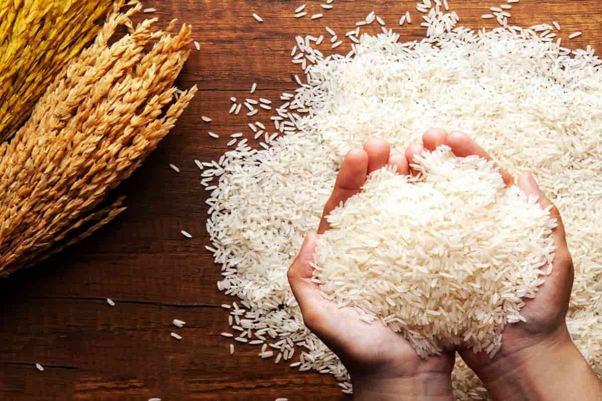 الارز السنه دي؛ صفراء بيضاء تنظيم حركة الأمعاء فيتامين ب 1 carbohydrate