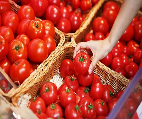 مواصفات طماطم هولندي وكيفية الشراء بكميات كبيرة