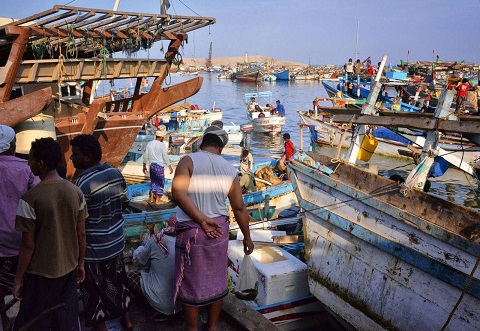 معلومات الأعمال وكسب المال المتعلقة برجال الأعمال الأفارقة والهنود واليمنيين وإرسال عينات التصدير