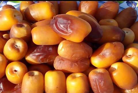 التعارف تمر رطب من صفر إلى مائة أسعار الشراء بالجملة