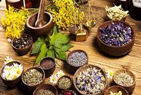 الشراء بالجملة النباتات الطبية بأفضل الظروف