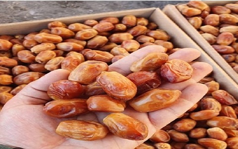 مرجع سعر نوع التمر الزهدي + شراء رخيص