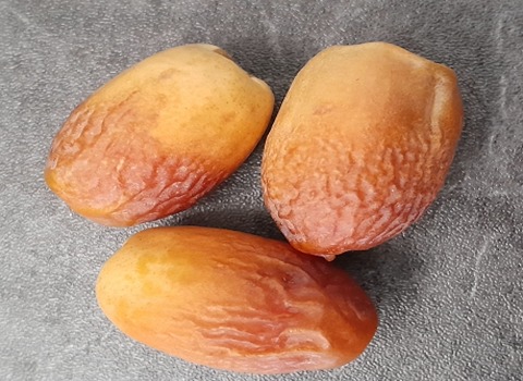 التمر التونسي؛ دقلة نور الزاهدي البرحي 2 استخدامات تحضير الكعك الحلويات