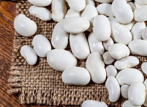 سعر الفاصولیا البیضاء جملة اليوم