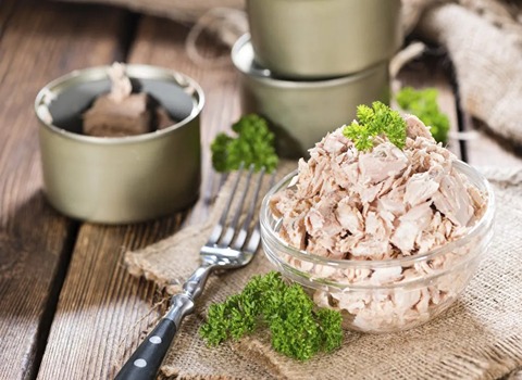 سمك التونه الاصلي؛ حیوان یعیش البحر القليل الأشواك