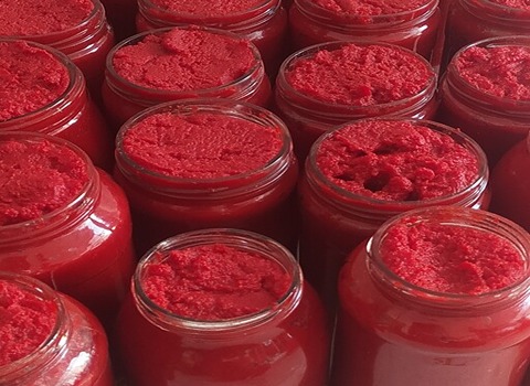 تعلم شراء معجون طماطم بغداد من صفر إلى مائة