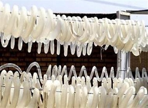 دليل شراء مصارين بقر بشروط خاصة وسعر استثنائي