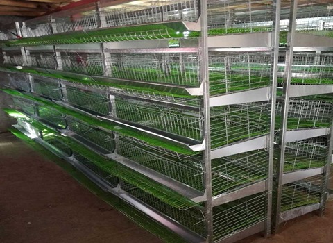 سعر الشراء بالجملة قفص دواجن كبير رخيص ومعقول