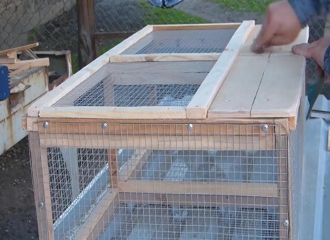 تعلم شراء قفص فراخ خشب من صفر إلى مائة