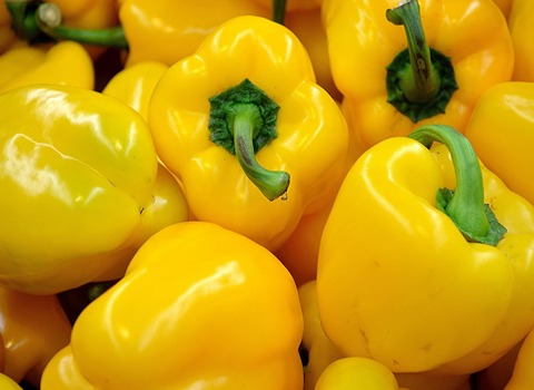 دليل شراء فلفل رومي اصفر بشروط خاصة وسعر استثنائي