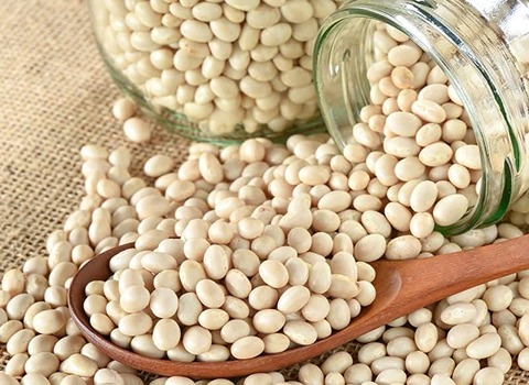 قائمة أسعار فاصوليا بيضاء عريضة جملة واقتصادية