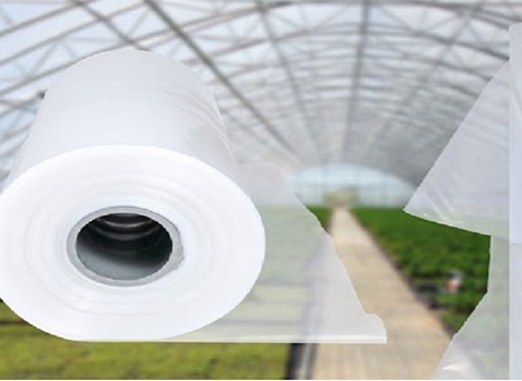 السعر والشراء نايلون بيوت محمية بمواصفات كاملة