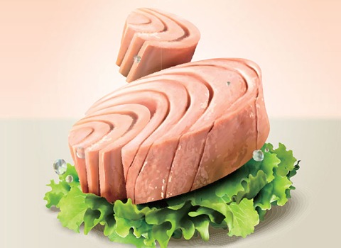 دليل شراء سمك تونة معلب بالزيت بشروط خاصة وسعر استثنائي