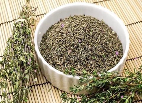 السعر والشراء عشب الزعتر البري بمواصفات كاملة