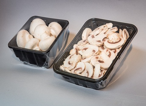 تعلم شراء مشروم معلب قطر من صفر إلى مائة