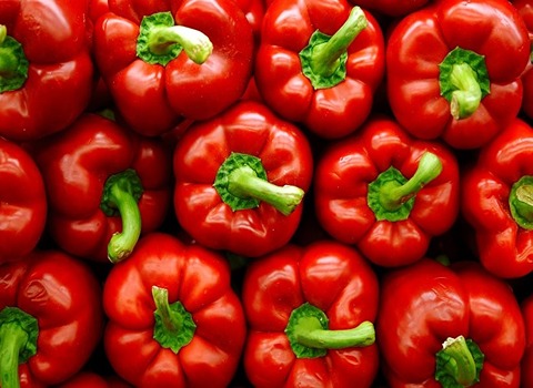 السعر والشراء فلفل رومي احمر بمواصفات كاملة