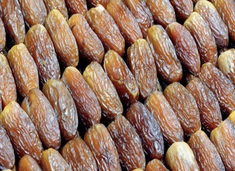 دليل شراء تمر مجدول مصر بشروط خاصة وسعر استثنائي