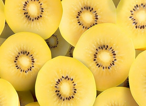 قائمة أسعار كيوي لونه اصفر جملة واقتصادية