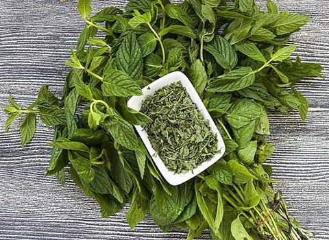 مواصفات النعناع المجفف في المغرب وكيفية الشراء بكميات كبيرة