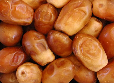 مواصفات تمر زهدي سعودي وكيفية الشراء بكميات كبيرة