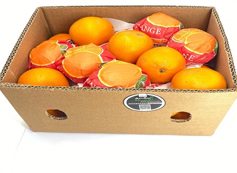 مواصفات برتقال ابو صرة كرتون وكيفية الشراء بكميات كبيرة
