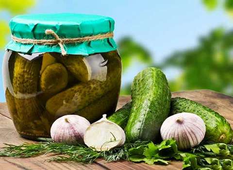 دليل شراء خيار مخلل معلب بشروط خاصة وسعر استثنائي