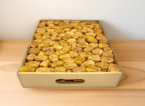 مواصفات كرتون تمر سكري 3 كيلو وكيفية الشراء بكميات كبيرة