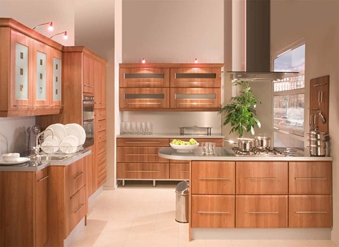 دولاب مطبخ الوميتال؛ أجهزة المنزلية يمنع الفوضى المنزل