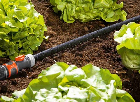 أسعار أنابيب الري بالتنقيط في الجزائر و أنواعها المختلفه للزراعة