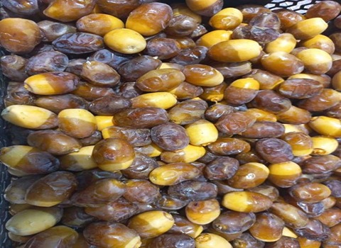سعر التمر البرحي الأصفر و خصائصه على الكبد الدهني