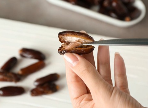 سعر نواة التمر وخصائصها الفريدة ونبذة عن تمور البيرام الرائعة