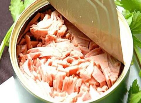 تصدير انواع المعلبات التونة