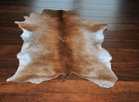 بیع جلد البقر الطبیعی من المصنع