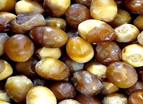 تمر رطب برحي للبيع