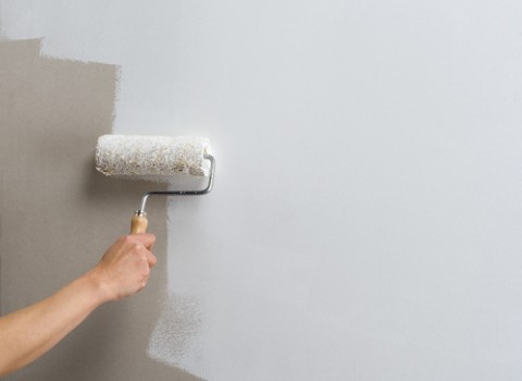 سعر الشراء بالجملة دهانات حوائط مودرن 2024 رخيص ومعقول