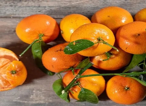 الشراء بالجملة برتقال اليوسف افندي بأفضل الظروف