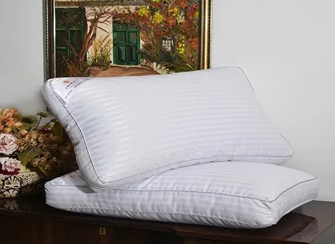 المخدة الطبية بالمغرب؛ الوسادة صحیة يحصل نوم مريح يرتفع أمراض العظام