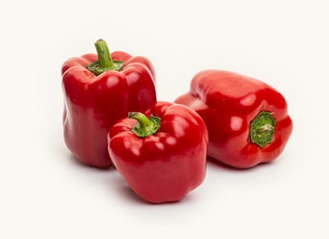 السعر والشراء فلفل رومي احمر صغير بمواصفات كاملة