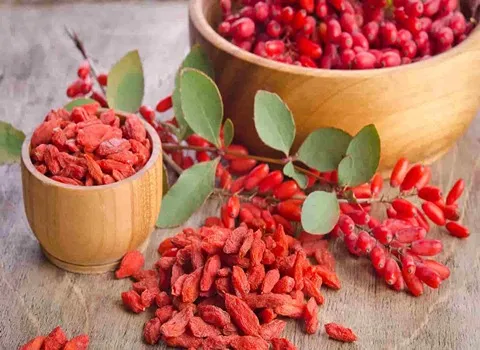 سعر الشراء بالجملة البرباريس المجففة رخيص ومعقول