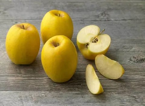 السعر والشراء التفاح السكري الصغير بمواصفات كاملة