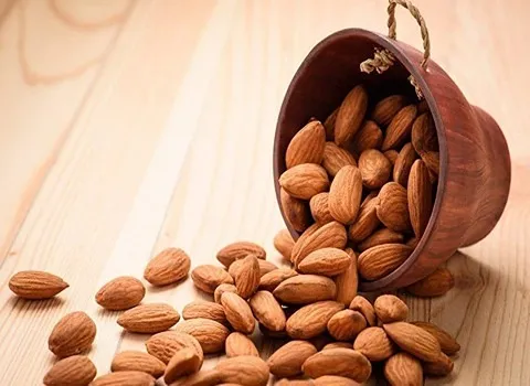 الشراء بالجملة اللوز الشجری بأفضل الظروف