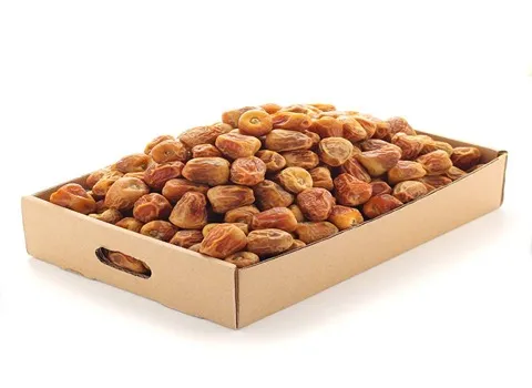 السعر والشراء تمر سكري ملكي حبة كبيرة بمواصفات كاملة