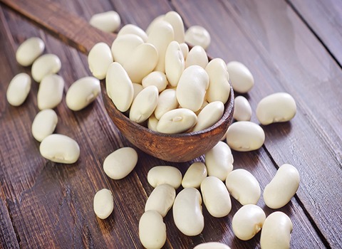 السعر والشراء فاصوليا بيضاء عضويه بمواصفات كاملة