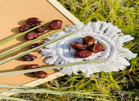 مواصفات تمر برني في الرياض وكيفية الشراء بكميات كبيرة