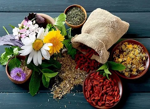 سعر الشراء بالجملة النباتات الطبية والعطرية رخيص ومعقول